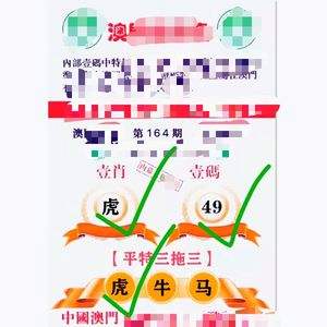 澳门精准三肖资料免费公,数据解释落实_整合版121,127.13