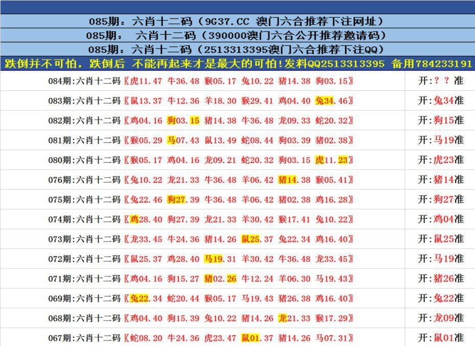 澳门详细资料,资深解答解释落实_特别款72.21127.13.